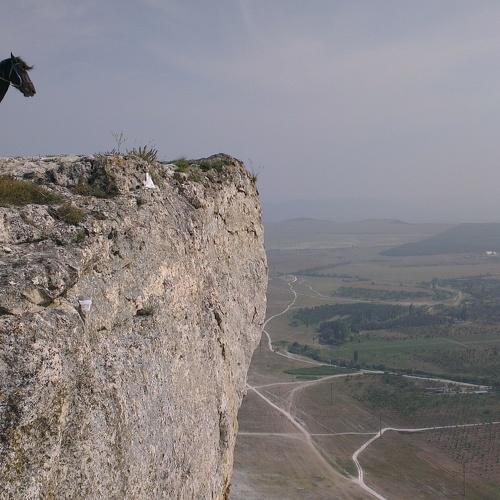 Photo #5323060
