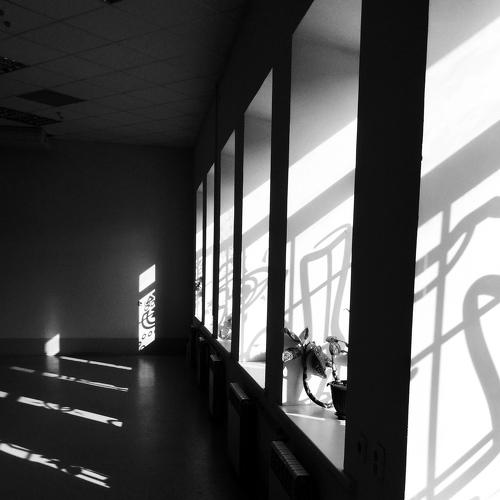 Photo #5323561