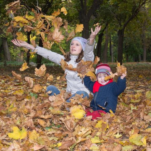 Photo #5323641