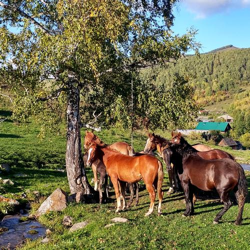 Сельская улица