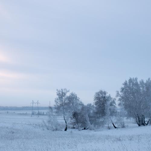 Frosty morning.