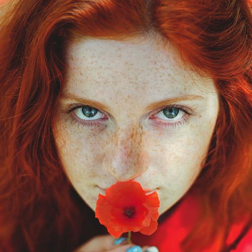 Photo #5324240
