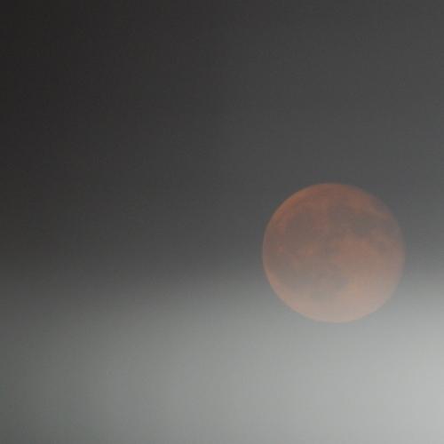 Photo #5324830
