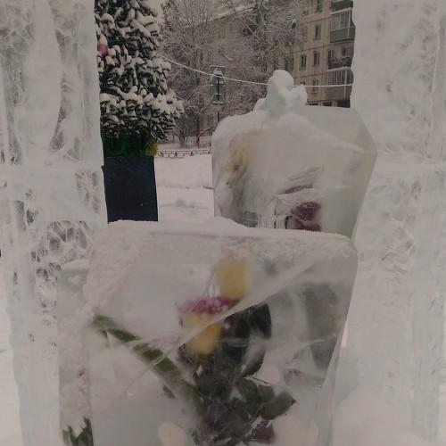 Photo #5324855