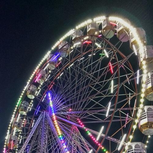 Photo #5324934