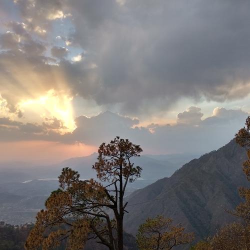 Photo #5324944