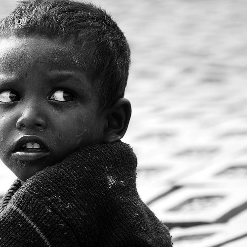 Photo #5325122