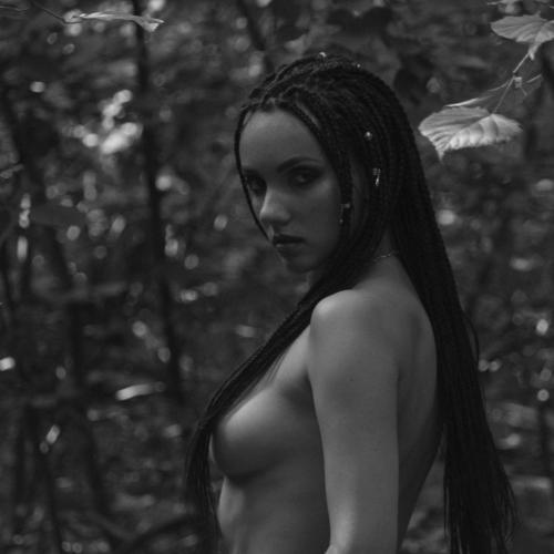 Photo #5325177