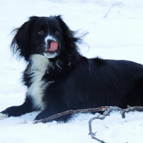 Photo #5325513
