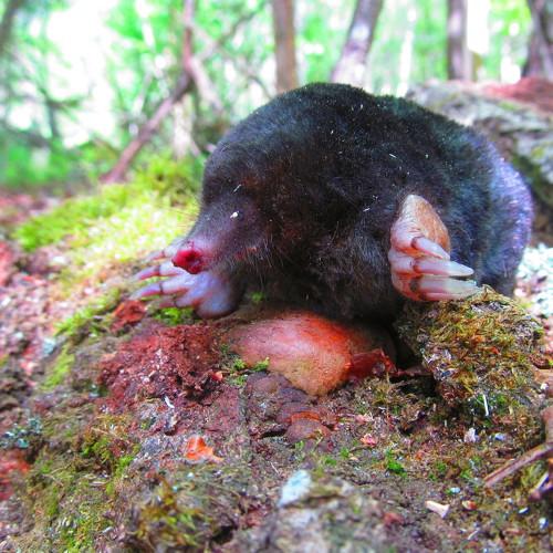 Photo #5325562