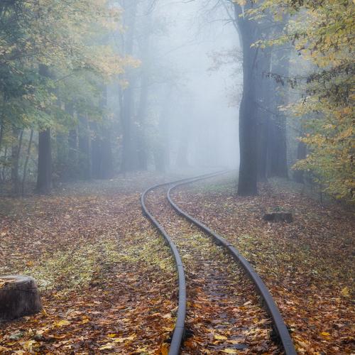 Photo #5325741