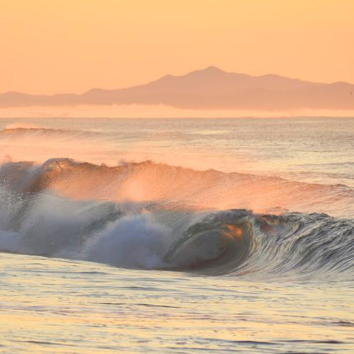 Photo #5326191
