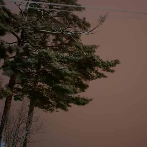 Photo #5326542