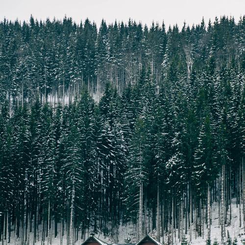 Photo #5326645