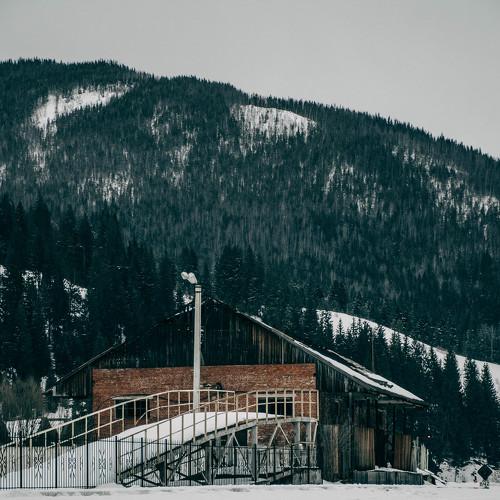 Photo #5326656