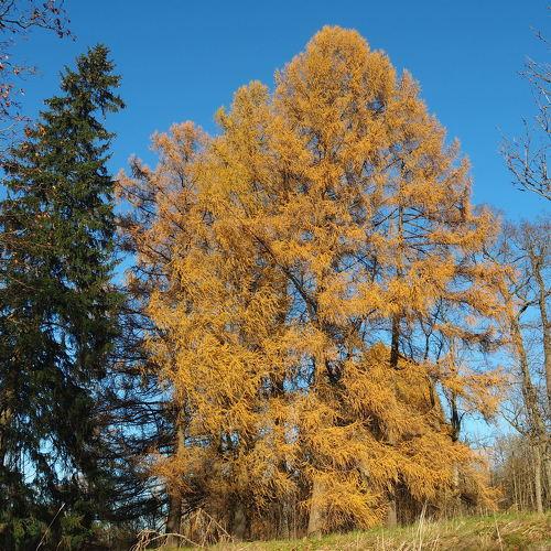 Photo #5326824