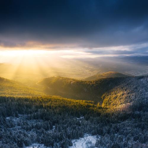 Photo #5326845