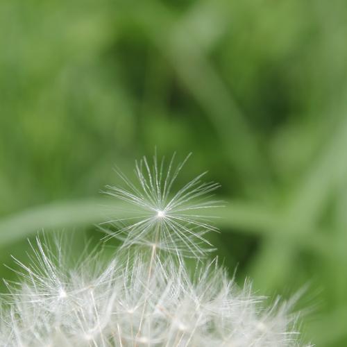 Photo #5327240