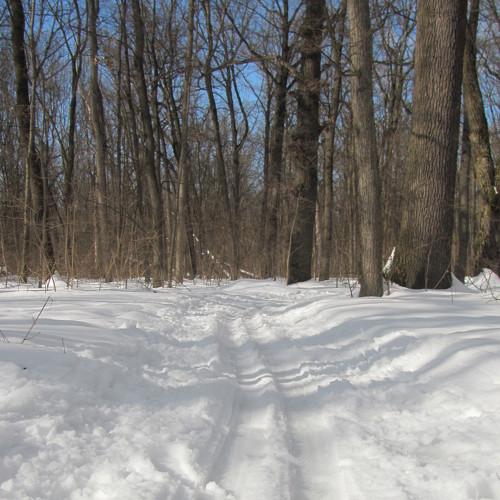 Photo #5327276
