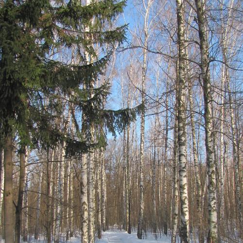Photo #5327277