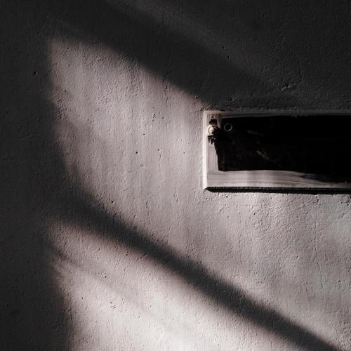 Photo #5327702
