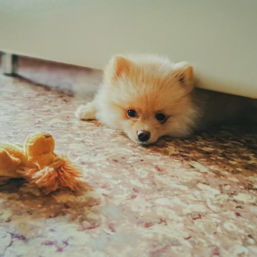 Photo #5328435