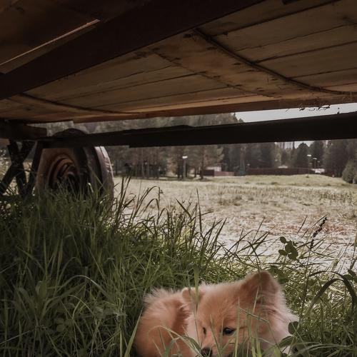 Photo #5328442