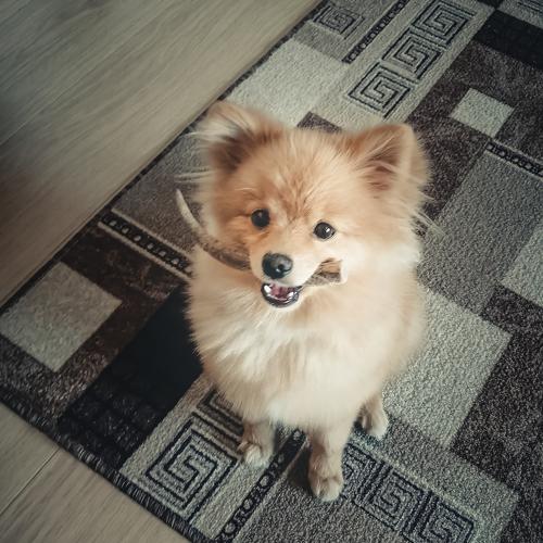 Photo #5328476