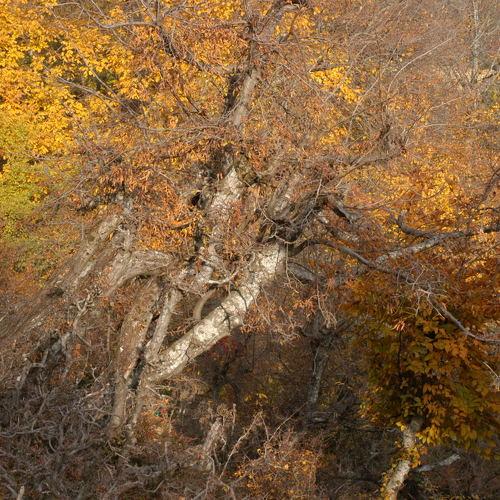 Photo #5328667