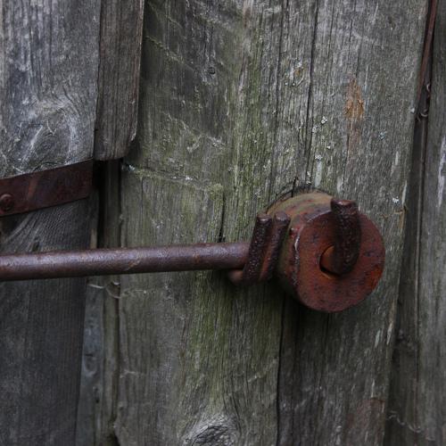 Photo #5329093
