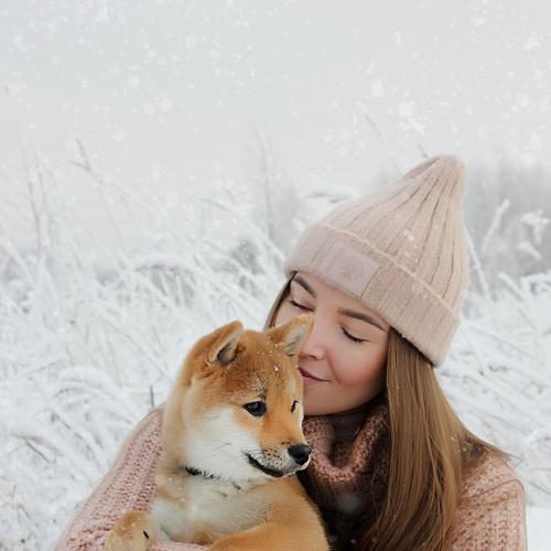 Photo #5329299