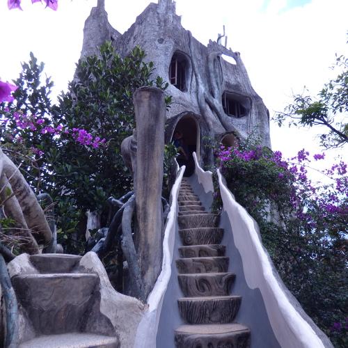 Photo #5329508