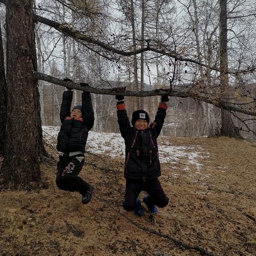 Photo #5330011