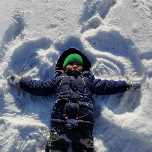 Photo #5330038