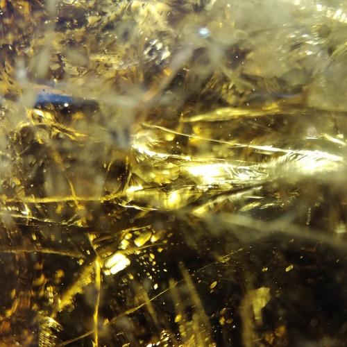 Photo #5330141