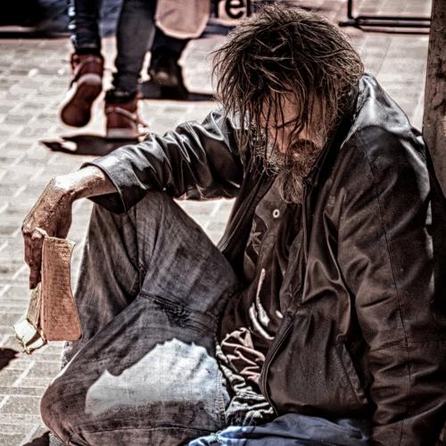 Photo #5330264