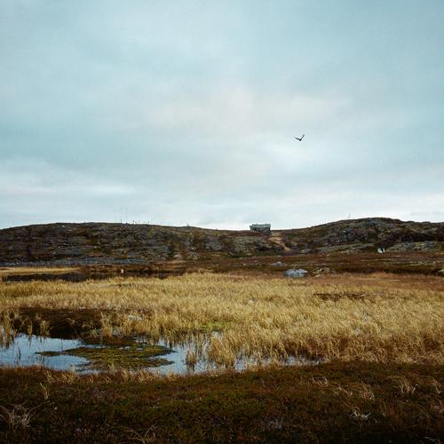 Photo #5331107