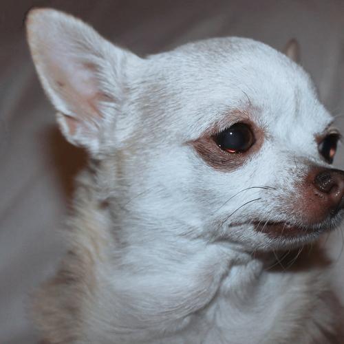 Photo #5331602
