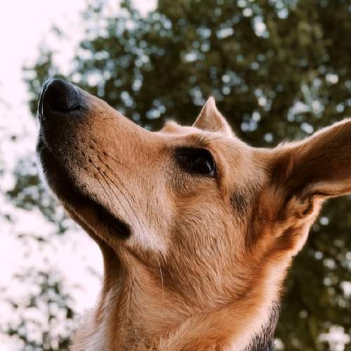 Photo #5331605