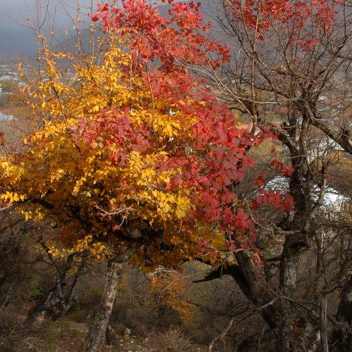 Photo #5331628
