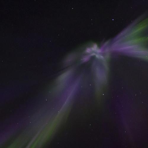 Photo #5332293