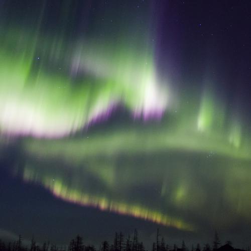 Photo #5332294