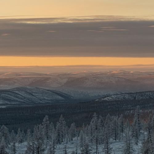 Photo #5332300