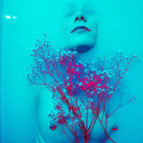 Photo #5332613