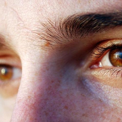 Photo #5332828