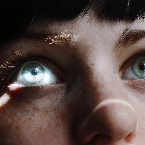 Photo #5332830