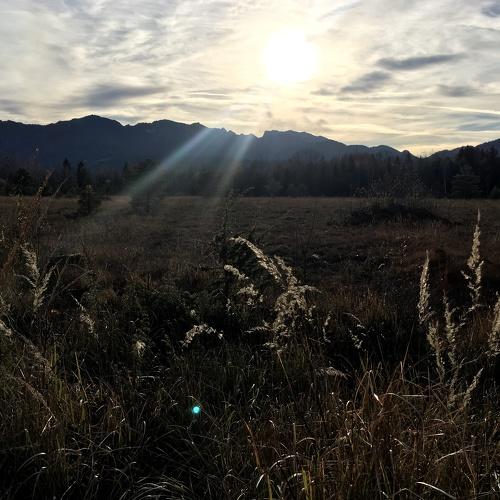 Photo #5332950
