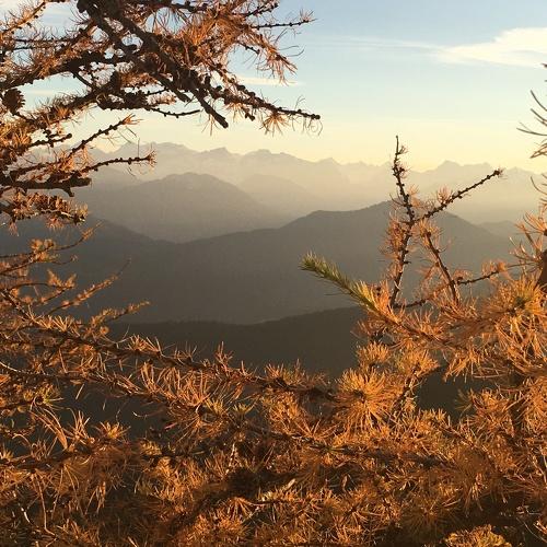 Photo #5332953