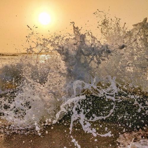 Photo #5333331