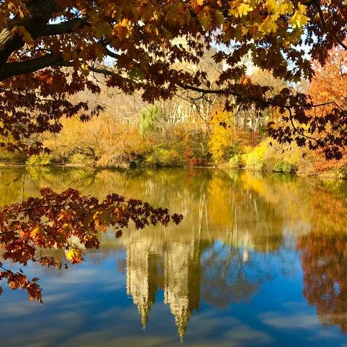 Photo #5333940
